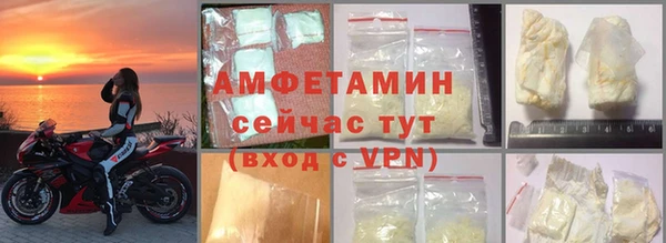индика Абаза