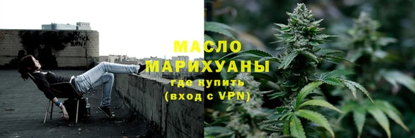 индика Абаза