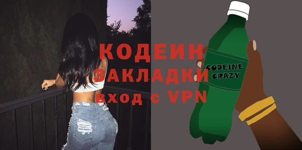индика Абаза