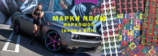 индика Абаза