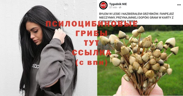 соль ск Абдулино