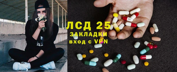 индика Абаза