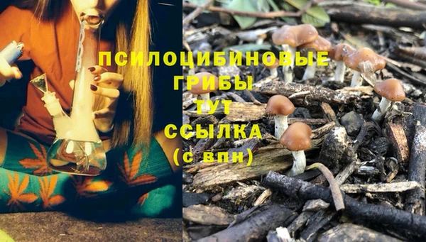 каннабис Абинск