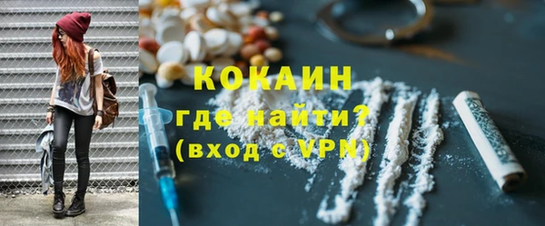индика Абаза
