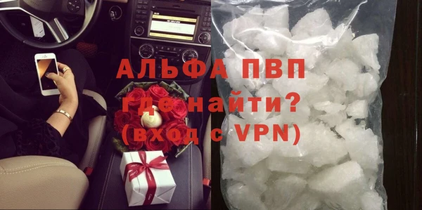 индика Абаза