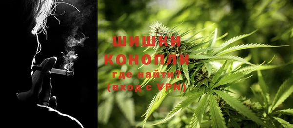 индика Абаза