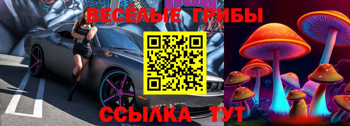 Галлюциногенные грибы мицелий  как найти наркотики  Кострома  Вход с VPN 