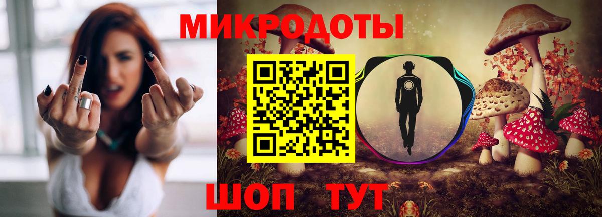 Псилоцибиновые грибы прущие грибы Кострома