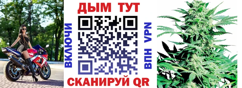 Канабис сатива Кострома